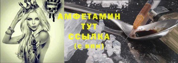 шишки Белокуриха