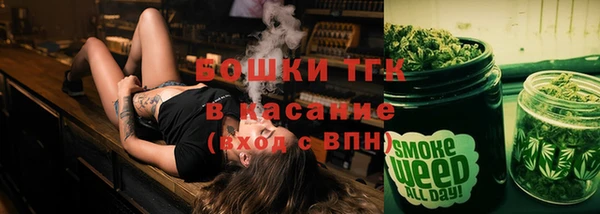 шишки Белокуриха