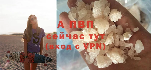 шишки Белокуриха