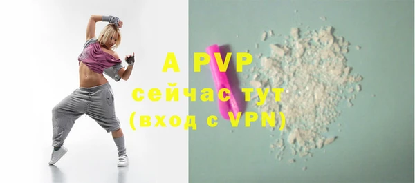 шишки Белокуриха
