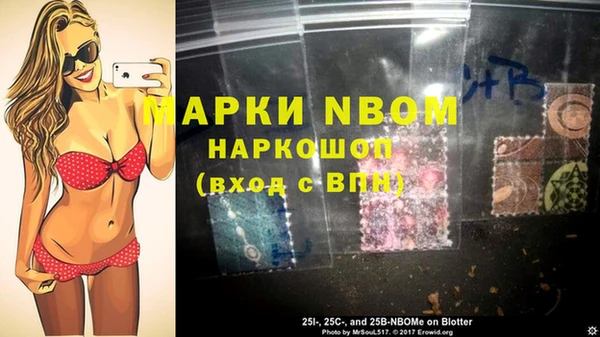 шишки Белокуриха