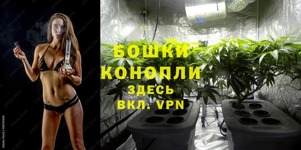 шишки Белокуриха