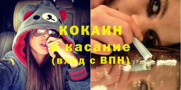 шишки Белокуриха