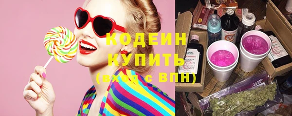 шишки Белокуриха