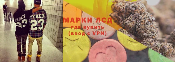 шишки Белокуриха