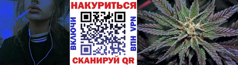 Каннабис сатива Жердевка